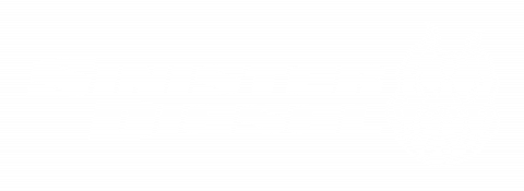 Sinister Diesel company logo